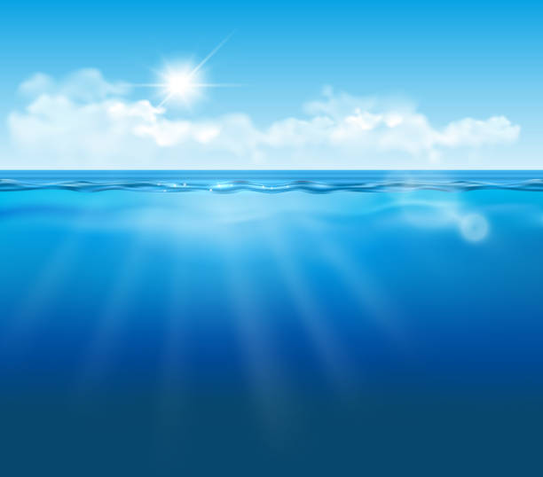 ilustrações, clipart, desenhos animados e ícones de vector realista vazia debaixo d'água vista com céu azul, nuvens e sol, efeitos de luz - underwater sea water surface surface level