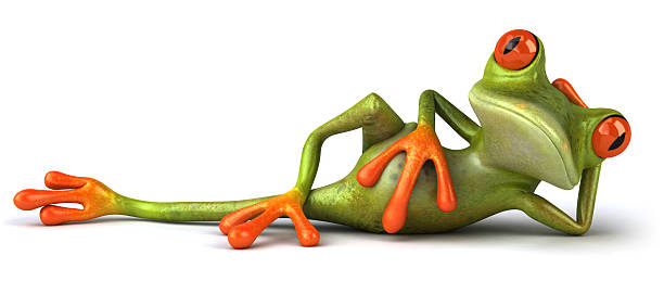 Fun frog lying down stock photo