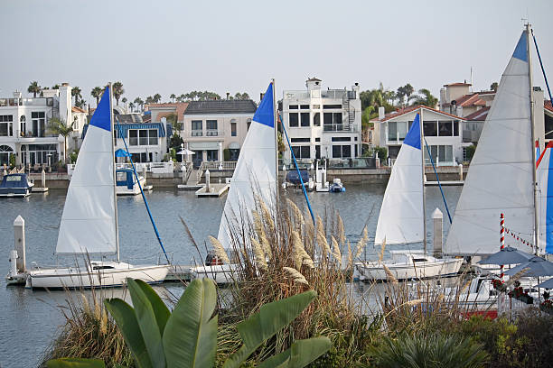 istock Sailboats in Harbour 91619532