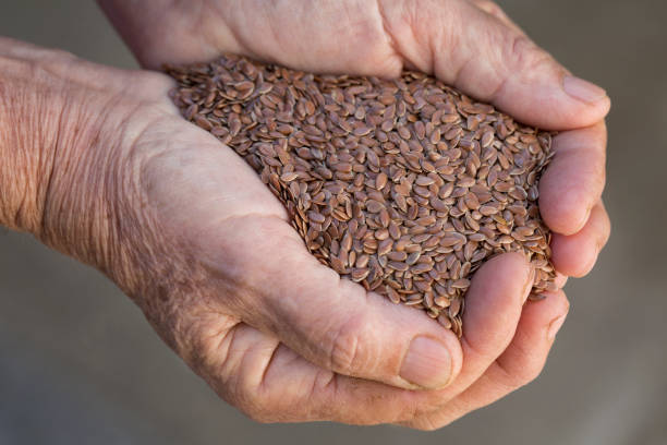 Flax seed Woman is holding flax seed in her hands flax seed stock pictures, royalty-free photos & images