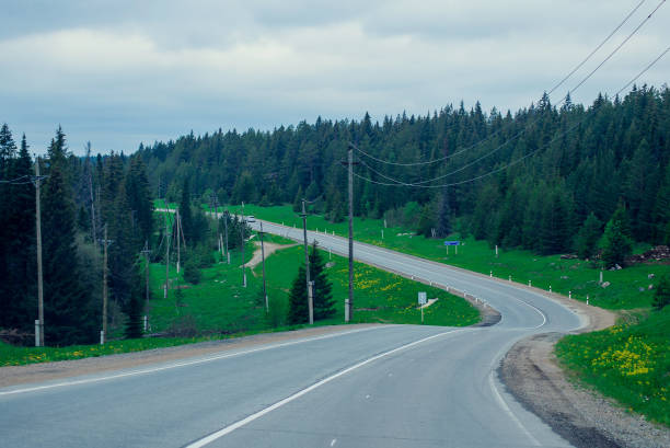istock Asphalt road in green forest 916200660