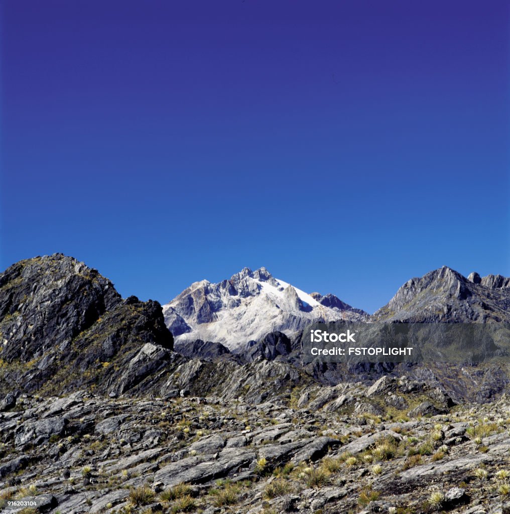 My Image 18