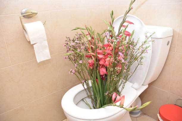 Old Thai local traditional, countryside style white ceramic squatty potty toilet room, dirty white tile floor, wall, water basin and green bucket for cleaning, perspective top view