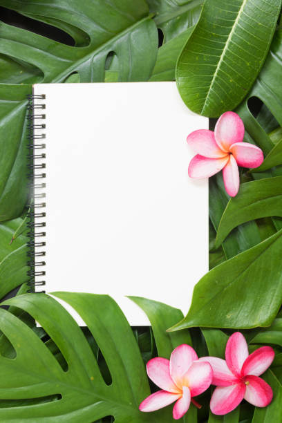 istock Tropical top summer botanical concept still life 916208566