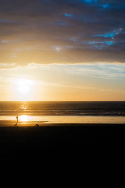 istock Person and pet walk along the shore at sunset 916209590