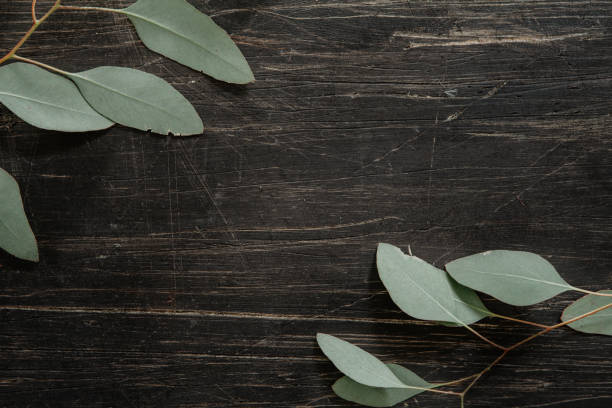 istock Green eucalyptus leaves on a scratched, black wood 916209614