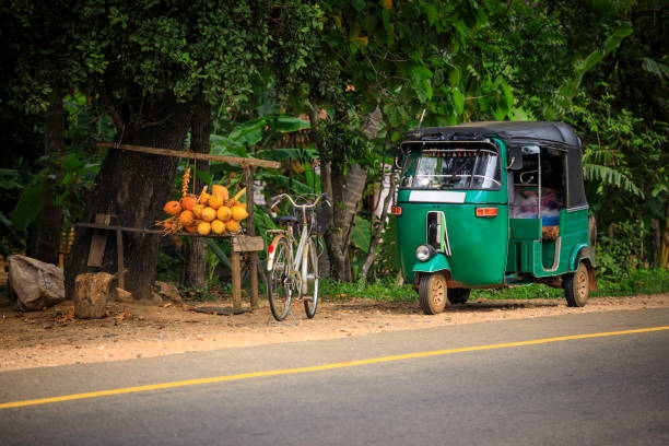 coconuts on sale in a street market stall