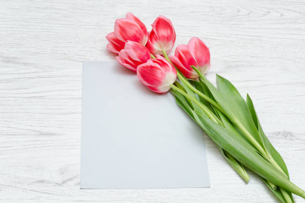 istock Clean card, pink tulips. Light wooden background. Top view. Space for text 916215266