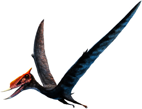 Dsungaripterus from the Cretaceous era 3D illustration