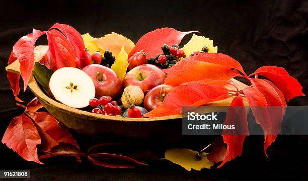 Autunno Ancora Vita - Fotografie stock e altre immagini di Alimentazione sana - Alimentazione sana, Autunno, Cestino