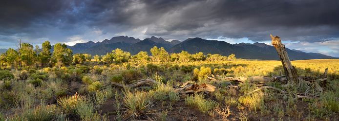 Dramatic light in late afternoon. Baca National Wildlife Refuge. Crestone, Colorado.