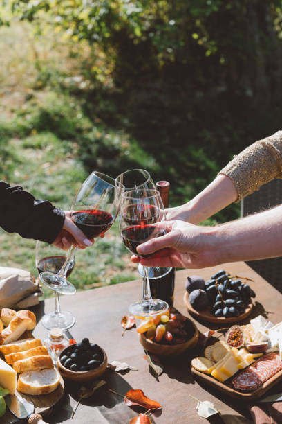 istock people clinking glasses of red wine 916219482