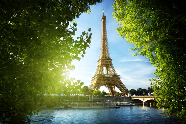istock Eiffel tower in Paris, France 916223104