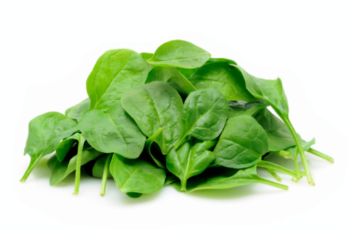 Young spinach leaves in isolated white background
