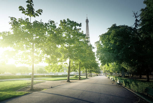 istock sunny morning and Eiffel Tower, Paris, France 916223122