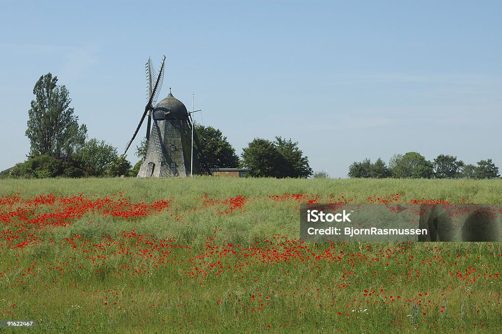 Old Mill - Foto stock royalty-free di Agricoltura
