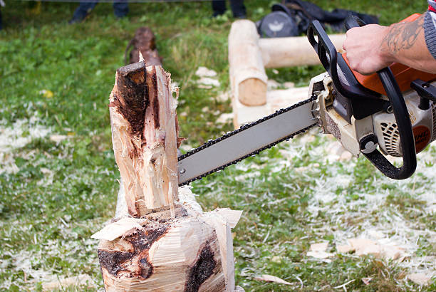 istock Gasoline saw slices figure 91622530