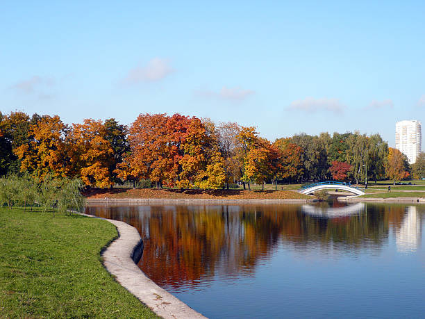 istock city park in gold fall 91623125