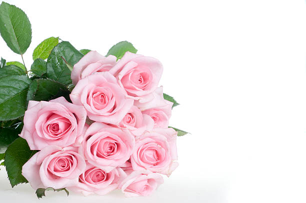 istock Holiday card with beautiful flowers 91623577