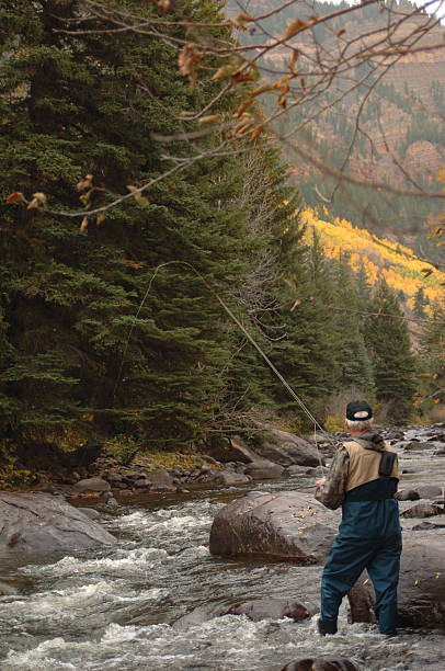 istock Trout Fishing Vertical 91623832