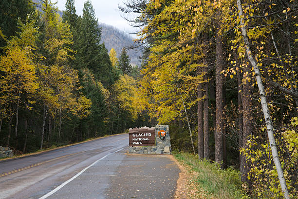 istock Entrance to West Glacier 91623968