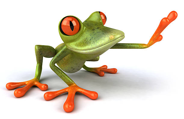 divertente rana - frog three dimensional shape animal green foto e immagini stock
