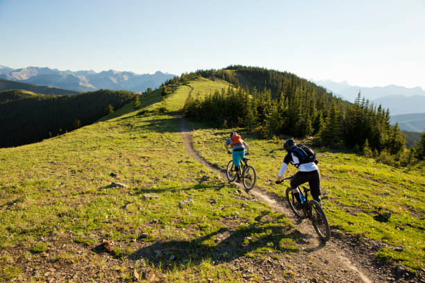 Rocky Mountain Bike Adventure Two young men ride their mountain bikes down a singletrack trail in the Rocky Mountains of Canada. They are both riding enduro-style mountain bikes and are wearing hydration backpacks. mountain bike stock pictures, royalty-free photos & images