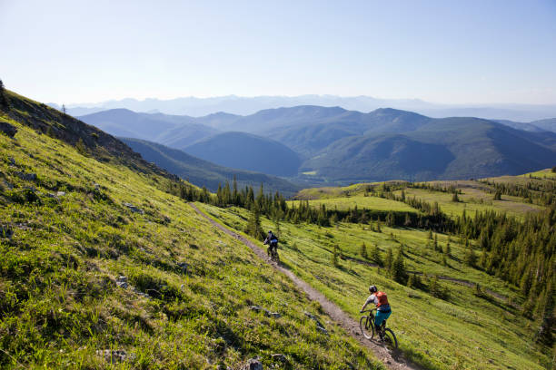 istock Rocky Mountain Bike Adventure 916255528