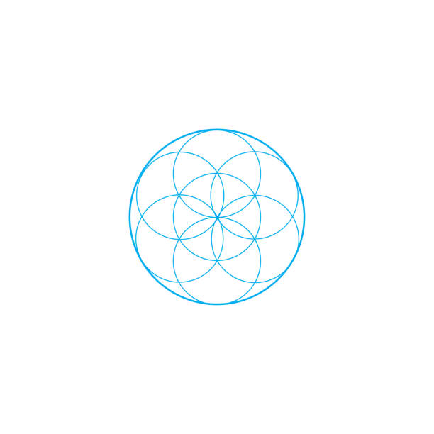 istock Vector sacred geometry illustration: Flower of Life, also known as seed of life or The Pattern of Creation. 916255686