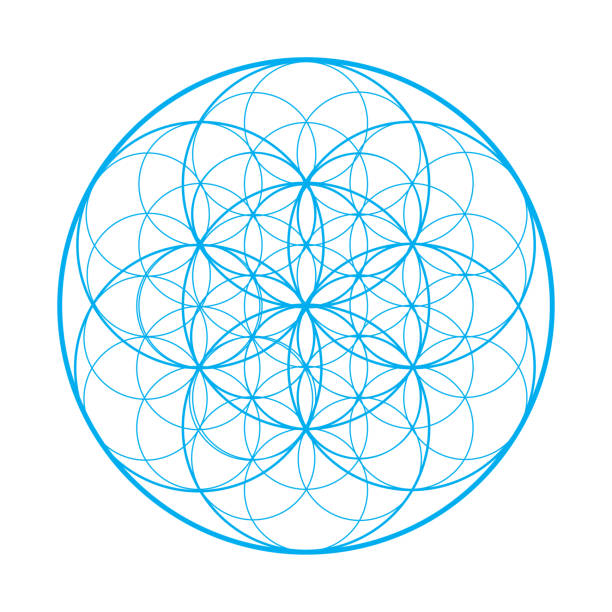 istock Vector sacred geometry illustration: Flower of Life, also known as Seed of Life or The Pattern of Creation. 916255696
