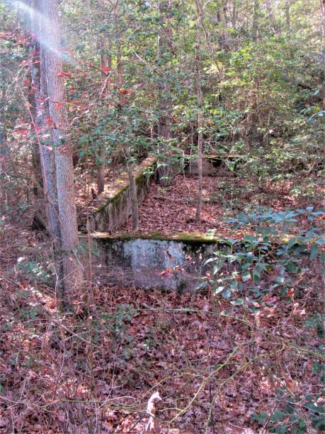 istock Ruins Hidden In The Forest 916255764