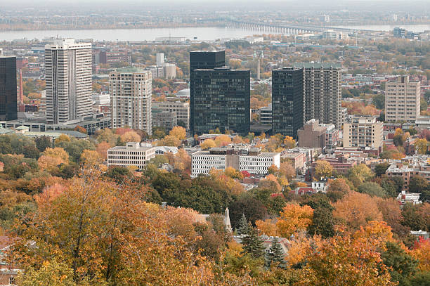istock Town of Montreal 91625712