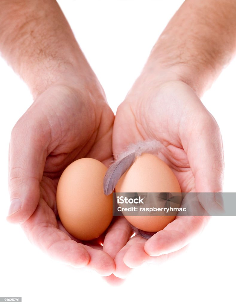 Nest egg-Modo di dire inglese - Foto stock royalty-free di Due oggetti