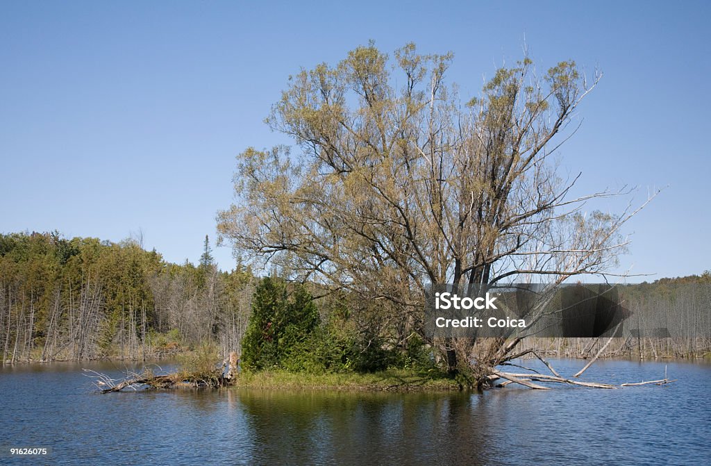 Mono Cliffs trail dans l'Ontario - Photo de Activité libre de droits