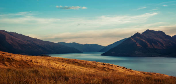 квинстаун, новая зеландия - new zealand forest landscape mountain стоковые фото и изображения