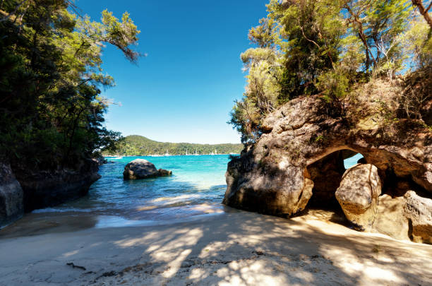 Abel Tasman National Park New Zealand Abel Tasman National Park New Zealand taken in 2015 nelson landscape beach sand stock pictures, royalty-free photos & images