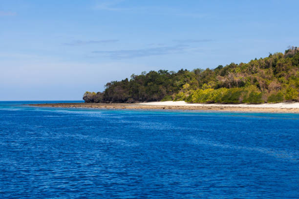 istock Island Reong, Indonesia 916287892