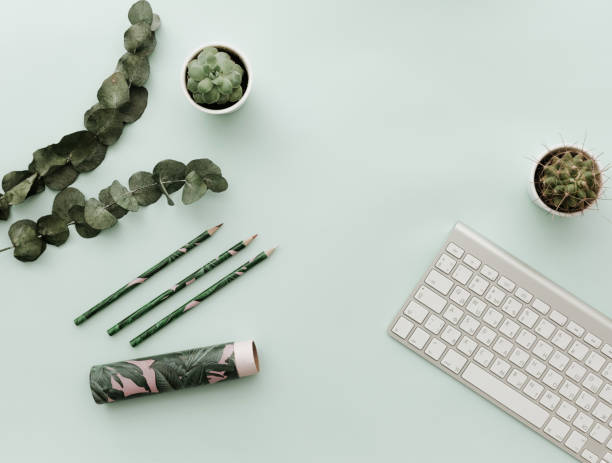 istock Modern Hipster Flat Lay With Keyboard, Eucalyptus, cactus and supplies. Flat lay 916288498