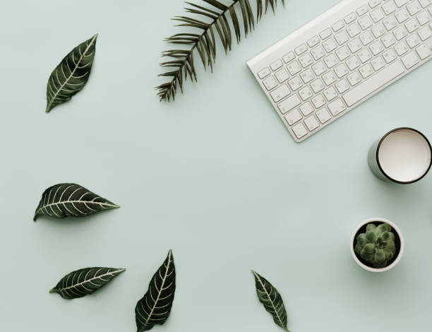 istock Modern Hipster Flat Lay With green leaves and keyboard. Blogger background 916288638