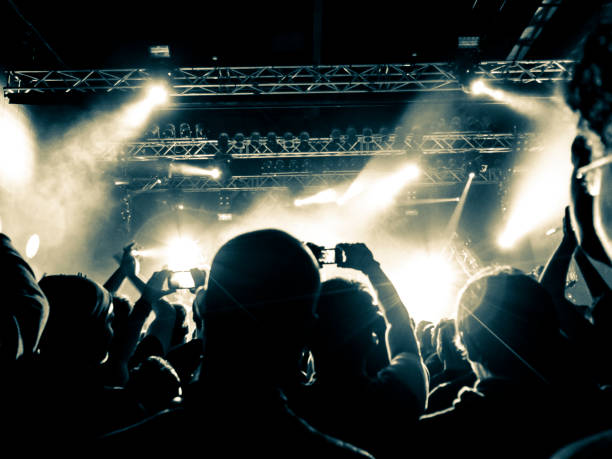 istock Concert crowd in front of a live stage 916288810