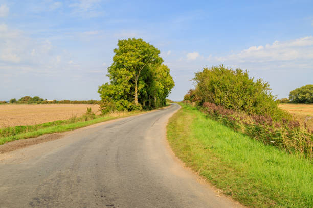 une route de campagne - winding road sunlight field cultivated land photos et images de collection