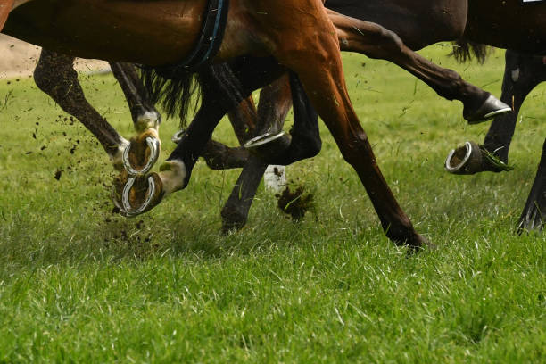 istock Horse racing action 916293804