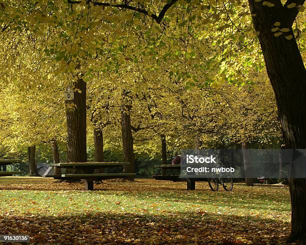 Man Taking Nap On A Beautiful Autumn Day Stock Photo - Download Image Now - Adult, Autumn, Autumn Leaf Color