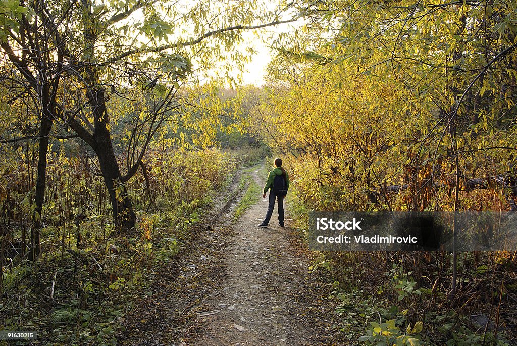 De otoño road - Foto de stock de Actividades recreativas libre de derechos