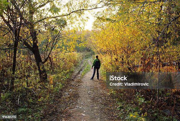 Autumn Road - 1人のストックフォトや画像を多数ご用意 - 1人, カラー画像, ティーンエイジャー