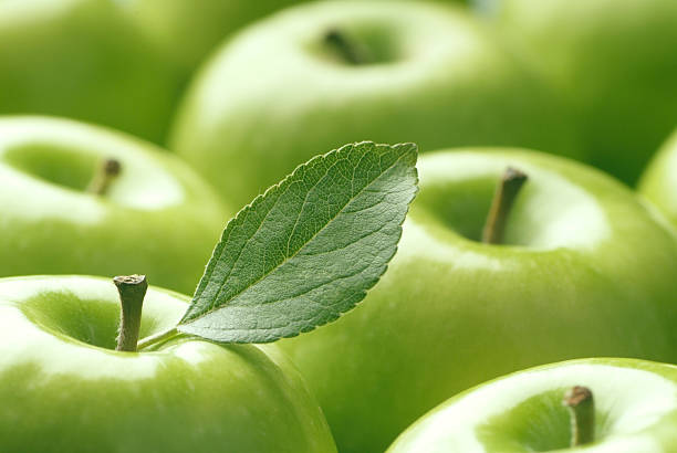 manzanas verde - apple granny smith apple green leaf fotografías e imágenes de stock