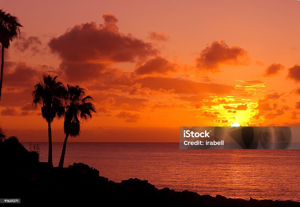 Laranja pôr do sol na Ilha tropical com palm - Royalty-free Ao Ar Livre Foto de stock