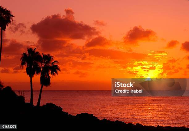 Laranja Pôr Do Sol Na Ilha Tropical Com Palm - Fotografias de stock e mais imagens de Ao Ar Livre - Ao Ar Livre, Beleza natural, Caule de planta