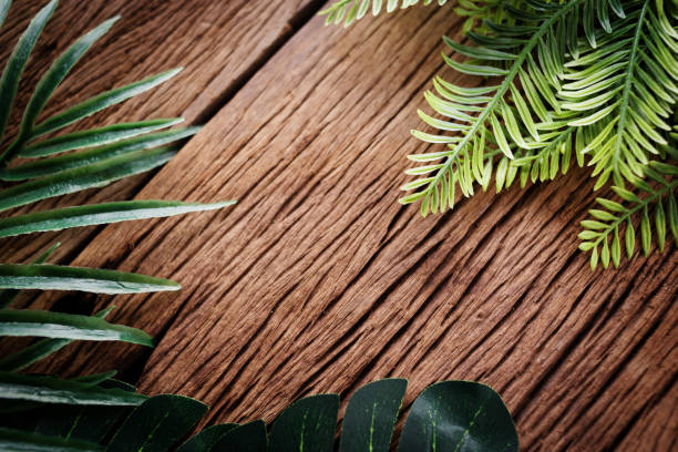 tropical green leaf frame with old wooden texture floor with free copy space for your text