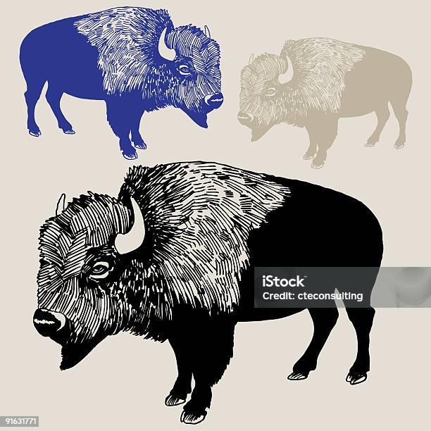 Северный Американский Бизон — стоковая векторная графика и другие изображения на тему Американский бизон - Американский бизон, Без людей, Белый фон